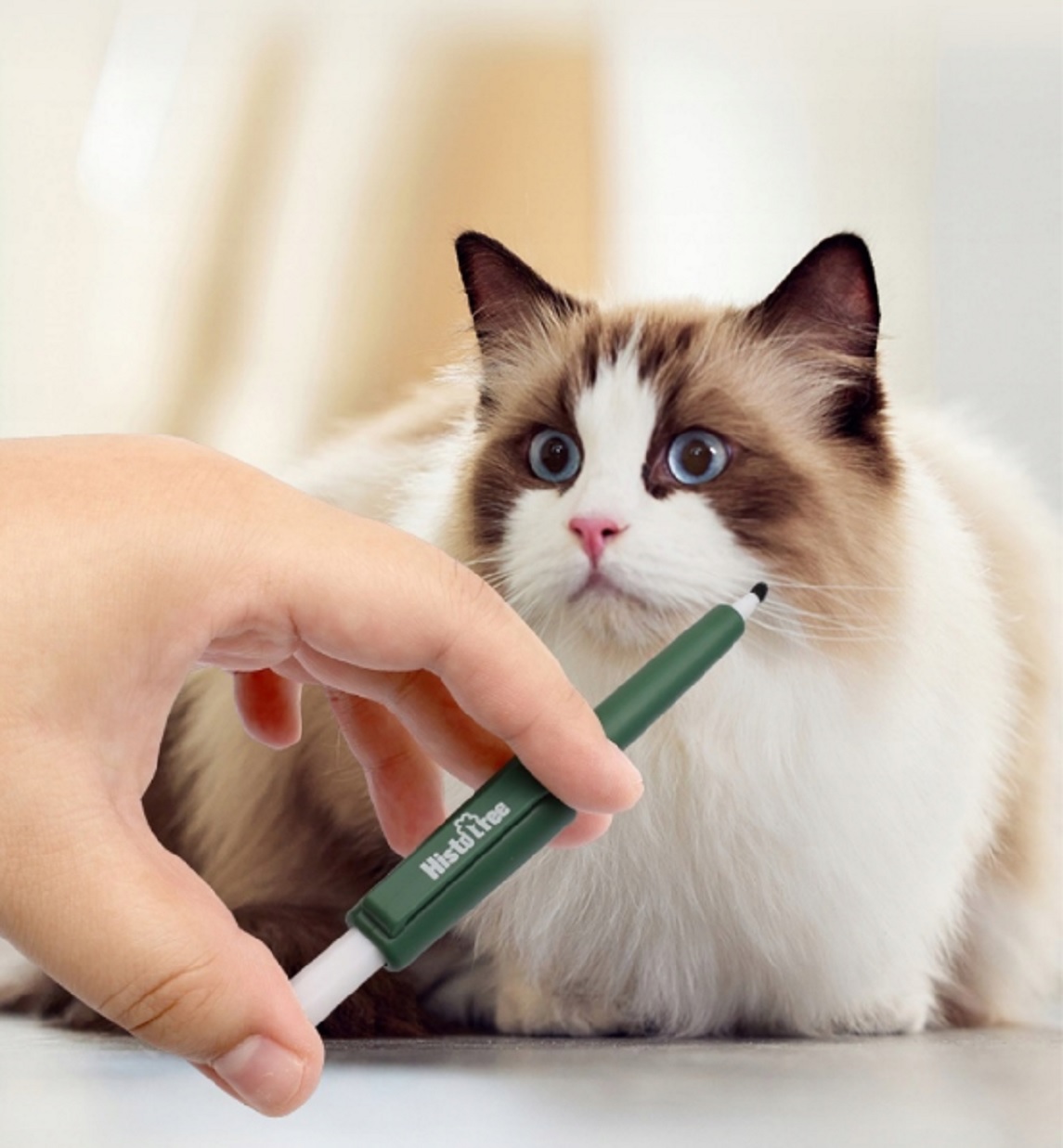 Praktický odstraňovač kliešťov